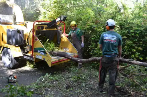 tree services Fairmont City